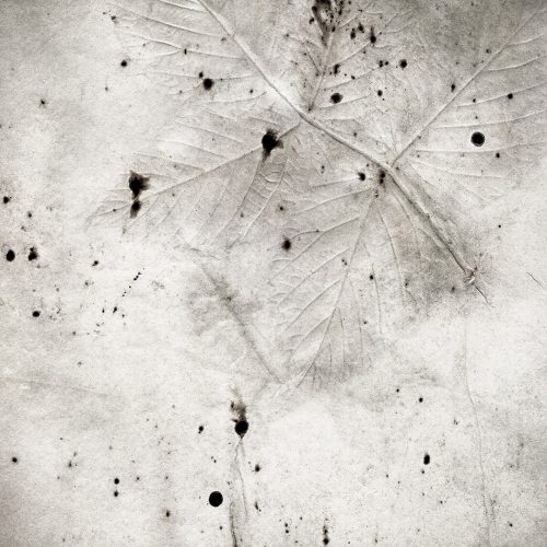 Imprint-1.jpg