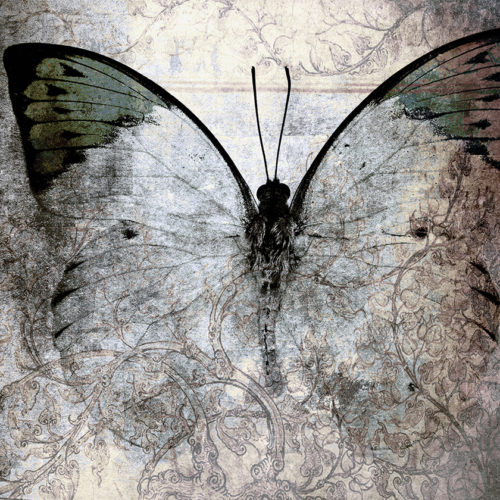 Habillage mural pour douche ‘Silhouette Papillon’ – Élégance Design pour une Salle de Bain Inspirante