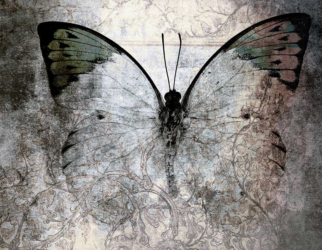 Habillage mural pour douche 'Silhouette Papillon' - Élégance Design pour une Salle de Bain Inspirante