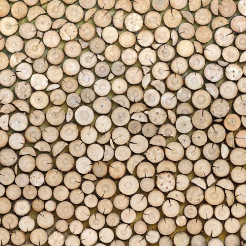 log-of-wood-1.jpg