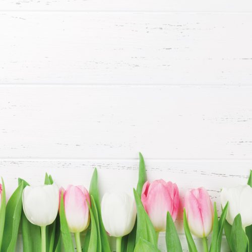 tulipes-2.jpg