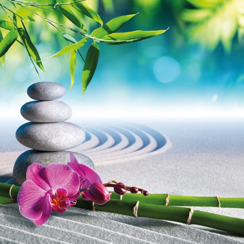zen-garden-1.jpg
